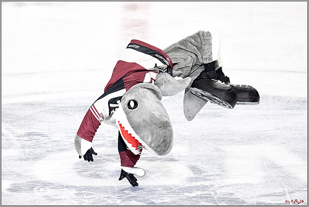 PENNY DEL;  Koelner Haie - Nuernberger Ice Tigers; Koeln, 25.03.2021